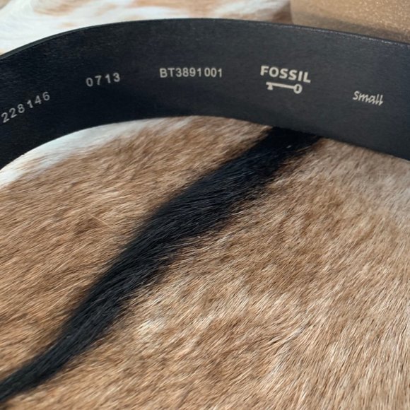 FOSSIL black belt - Picture 2 of 4